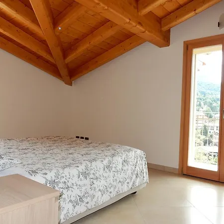 Primula * Белладжо