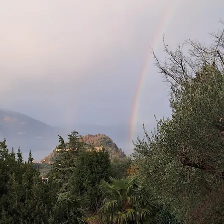 Appartement Primula *