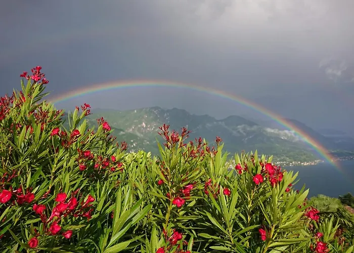 Primula Appartement *