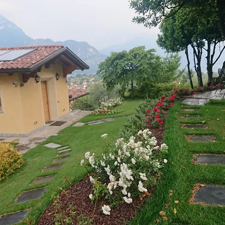 Primula * ベッラージョ