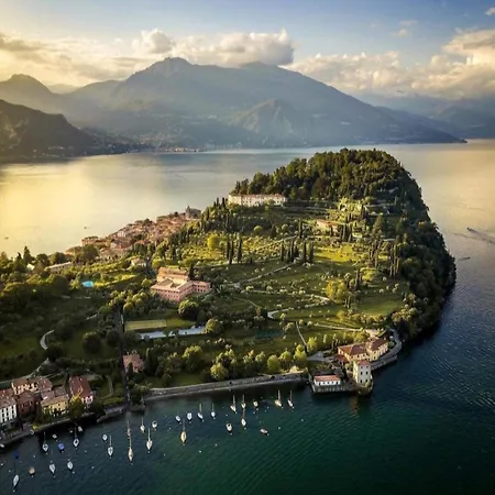 Primula Daire Bellagio