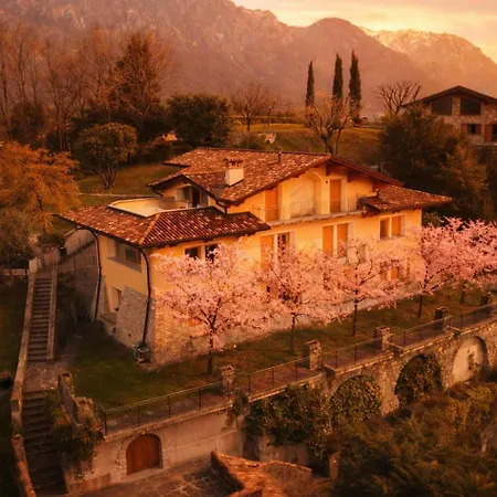 Primula Daire Bellagio