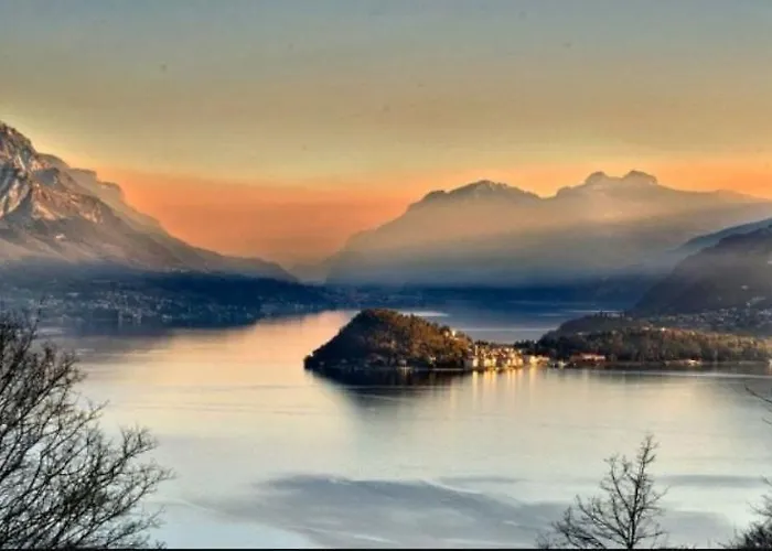 Primula * Белладжо