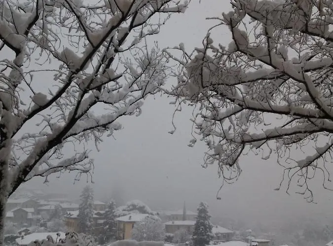 Primula Апартаменты