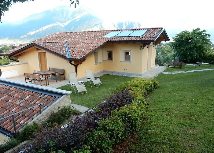 Primula Белладжо