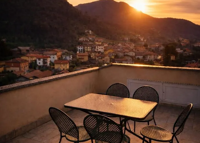 Primula * Белладжо