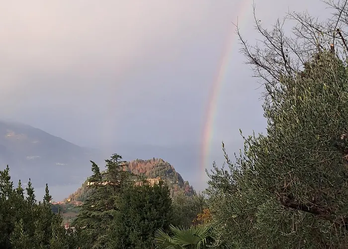 Appartement Primula *